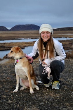 Miss Dooley's Alaskan Adventure - Blog